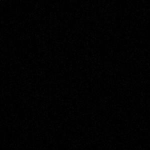 Meet your Posher, Cody